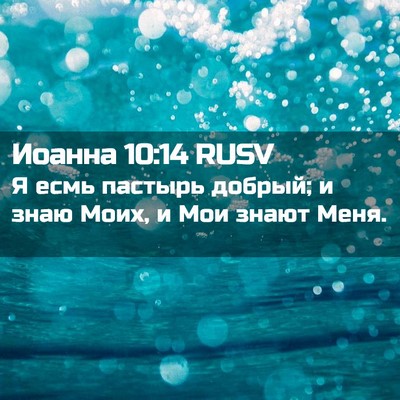 Picture 02 - Иоанна 10:14 RUSV - Я есмь пастырь добрый; и - Bible Verse Picture