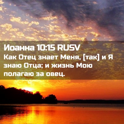 Picture 02 - Иоанна 10:15 RUSV - Как Отец знает Меня, [так] и - Bible Verse Picture