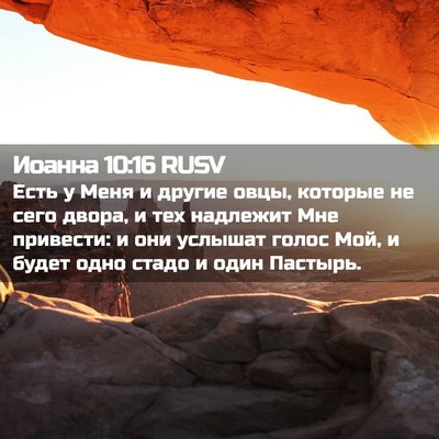 Picture 02 - Иоанна 10:16 RUSV - Есть у Меня и другие овцы, - Bible Verse Picture