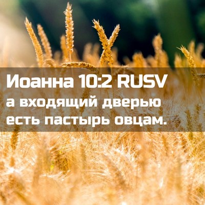 Picture 02 - Иоанна 10:2 RUSV - а входящий дверью есть - Bible Verse Picture