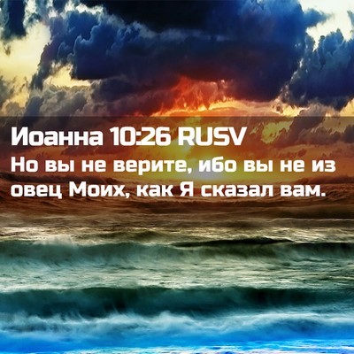 Picture 02 - Иоанна 10:26 RUSV - Но вы не верите, ибо вы не - Bible Verse Picture