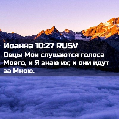 Picture 02 - Иоанна 10:27 RUSV - Овцы Мои слушаются голоса - Bible Verse Picture