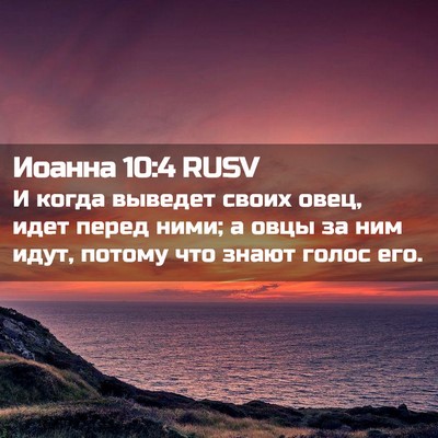 Picture 02 - Иоанна 10:4 RUSV - И когда выведет своих овец, - Bible Verse Picture