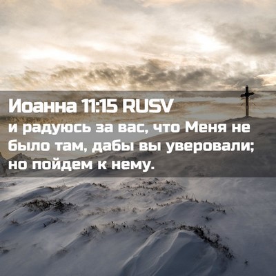 Picture 02 - Иоанна 11:15 RUSV - и радуюсь за вас, что Меня - Bible Verse Picture