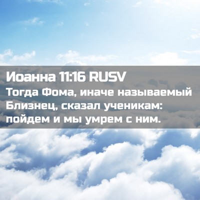 Picture 02 - Иоанна 11:16 RUSV - Тогда Фома, иначе - Bible Verse Picture