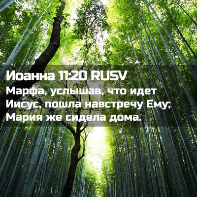 Picture 02 - Иоанна 11:20 RUSV - Марфа, услышав, что идет - Bible Verse Picture