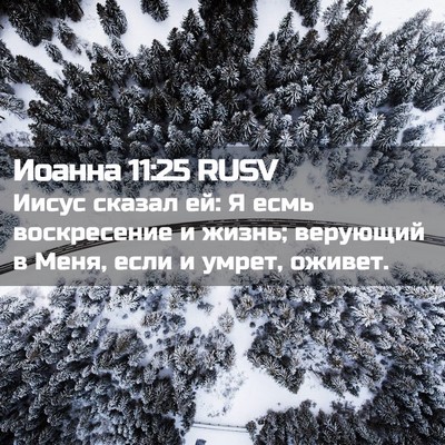 Picture 02 - Иоанна 11:25 RUSV - Иисус сказал ей: Я есмь - Bible Verse Picture