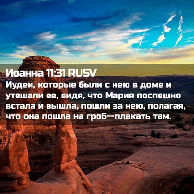 Picture 02 - Иоанна 11:31 RUSV - Иудеи, которые были с нею в - Bible Verse Picture