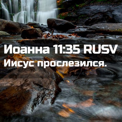 Picture 02 - Иоанна 11:35 RUSV - Иисус - Bible Verse Picture