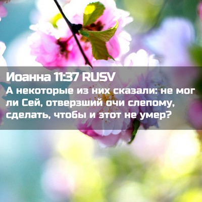 Picture 02 - Иоанна 11:37 RUSV - А некоторые из них сказали: - Bible Verse Picture