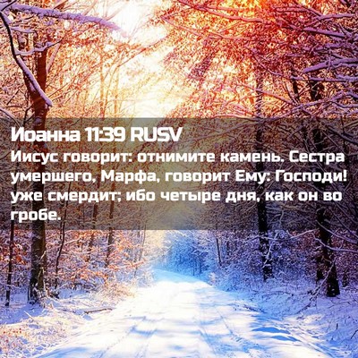 Picture 02 - Иоанна 11:39 RUSV - Иисус говорит: отнимите - Bible Verse Picture