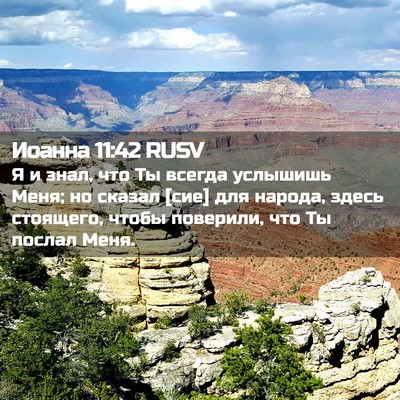 Picture 02 - Иоанна 11:42 RUSV - Я и знал, что Ты всегда - Bible Verse Picture