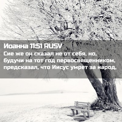 Picture 02 - Иоанна 11:51 RUSV - Сие же он сказал не от себя, - Bible Verse Picture