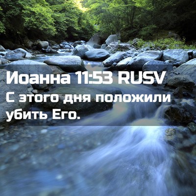 Picture 02 - Иоанна 11:53 RUSV - С этого дня положили убить - Bible Verse Picture