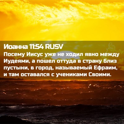 Picture 02 - Иоанна 11:54 RUSV - Посему Иисус уже не ходил - Bible Verse Picture