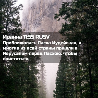 Picture 02 - Иоанна 11:55 RUSV - Приближалась Пасха - Bible Verse Picture