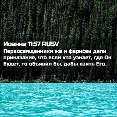 Picture 02 - Иоанна 11:57 RUSV - Первосвященники же и - Bible Verse Picture