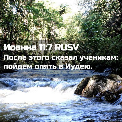 Picture 02 - Иоанна 11:7 RUSV - После этого сказал - Bible Verse Picture