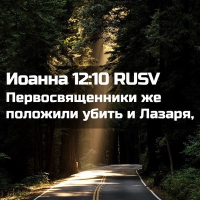 Picture 02 - Иоанна 12:10 RUSV - Первосвященники же - Bible Verse Picture