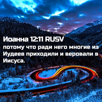 Picture 02 - Иоанна 12:11 RUSV - потому что ради него - Bible Verse Picture
