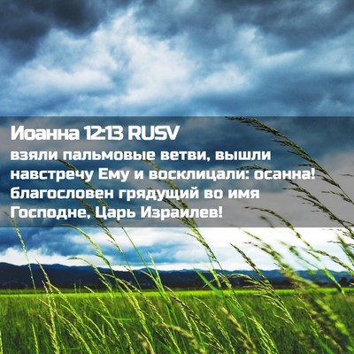 Picture 02 - Иоанна 12:13 RUSV - взяли пальмовые ветви, - Bible Verse Picture