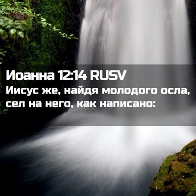 Picture 02 - Иоанна 12:14 RUSV - Иисус же, найдя молодого - Bible Verse Picture