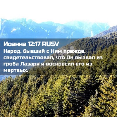 Picture 02 - Иоанна 12:17 RUSV - Народ, бывший с Ним прежде, - Bible Verse Picture