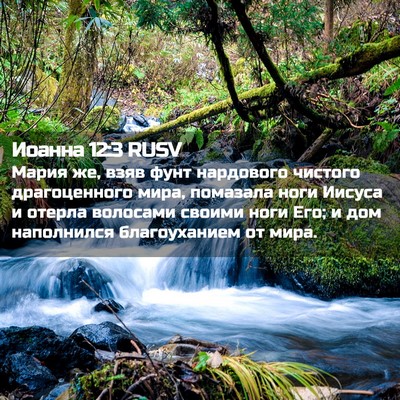 Picture 02 - Иоанна 12:3 RUSV - Мария же, взяв фунт - Bible Verse Picture