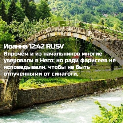Picture 02 - Иоанна 12:42 RUSV - Впрочем и из начальников - Bible Verse Picture