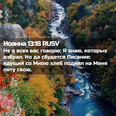 Picture 02 - Иоанна 13:18 RUSV - Не о всех вас говорю; Я - Bible Verse Picture
