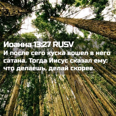 Picture 02 - Иоанна 13:27 RUSV - И после сего куска вошел в - Bible Verse Picture