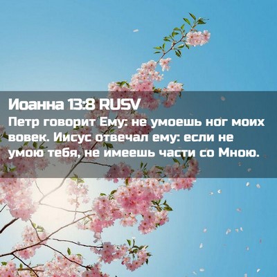 Picture 02 - Иоанна 13:8 RUSV - Петр говорит Ему: не умоешь - Bible Verse Picture