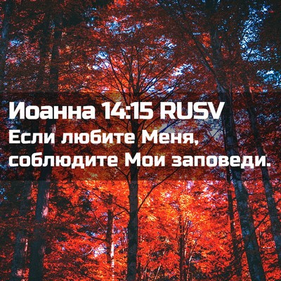 Picture 02 - Иоанна 14:15 RUSV - Если любите Меня, - Bible Verse Picture