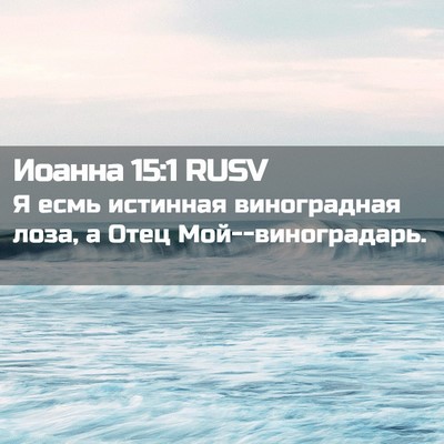 Picture 02 - Иоанна 15:1 RUSV - Я есмь истинная - Bible Verse Picture