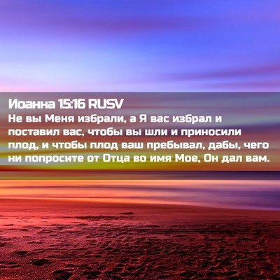 Picture 02 - Иоанна 15:16 RUSV - Не вы Меня избрали, а Я вас - Bible Verse Picture