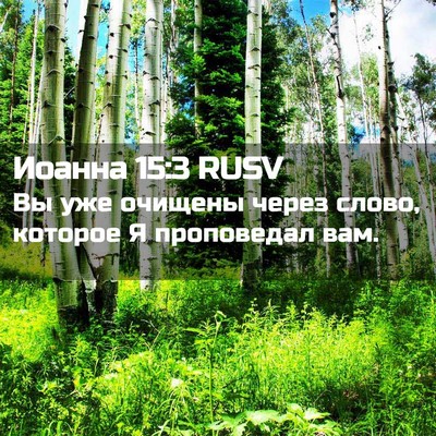 Picture 02 - Иоанна 15:3 RUSV - Вы уже очищены через слово, - Bible Verse Picture