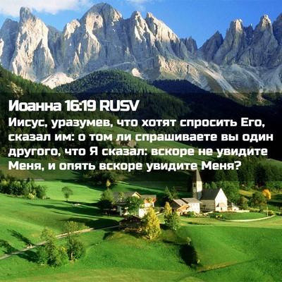 Picture 02 - Иоанна 16:19 RUSV - Иисус, уразумев, что хотят - Bible Verse Picture