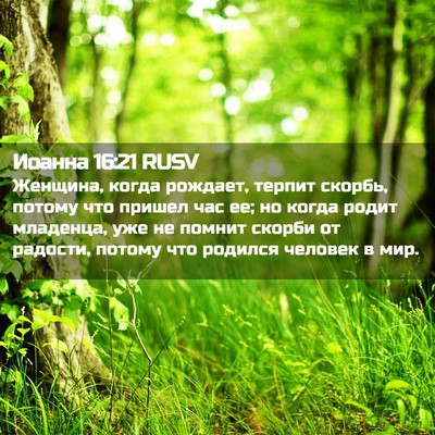 Picture 02 - Иоанна 16:21 RUSV - Женщина, когда рождает, - Bible Verse Picture