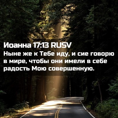Picture 02 - Иоанна 17:13 RUSV - Ныне же к Тебе иду, и сие - Bible Verse Picture