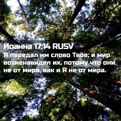 Picture 02 - Иоанна 17:14 RUSV - Я передал им слово Твое; и - Bible Verse Picture