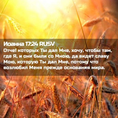 Picture 02 - Иоанна 17:24 RUSV - Отче! которых Ты дал Мне, - Bible Verse Picture