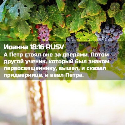 Picture 02 - Иоанна 18:16 RUSV - А Петр стоял вне за - Bible Verse Picture