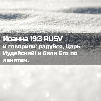 Picture 02 - Иоанна 19:3 RUSV - и говорили: радуйся, Царь - Bible Verse Picture