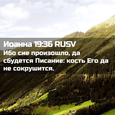 Picture 02 - Иоанна 19:36 RUSV - Ибо сие произошло, да - Bible Verse Picture