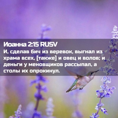Picture 02 - Иоанна 2:15 RUSV - И, сделав бич из веревок, - Bible Verse Picture