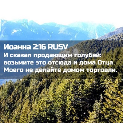 Picture 02 - Иоанна 2:16 RUSV - И сказал продающим - Bible Verse Picture