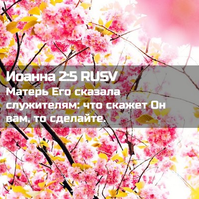 Picture 02 - Иоанна 2:5 RUSV - Матерь Его сказала - Bible Verse Picture