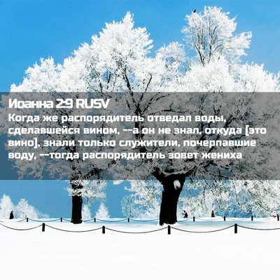 Picture 02 - Иоанна 2:9 RUSV - Когда же распорядитель - Bible Verse Picture