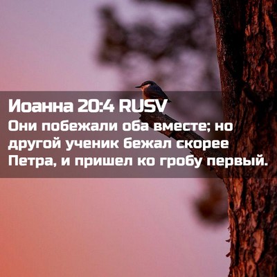 Picture 02 - Иоанна 20:4 RUSV - Они побежали оба вместе; но - Bible Verse Picture