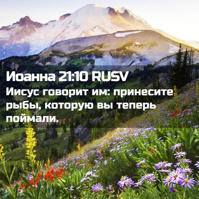 Picture 02 - Иоанна 21:10 RUSV - Иисус говорит им: - Bible Verse Picture